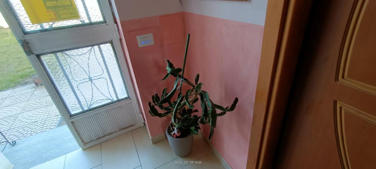 La Magnolia B&B Gassino Torinese Eksteriør billede