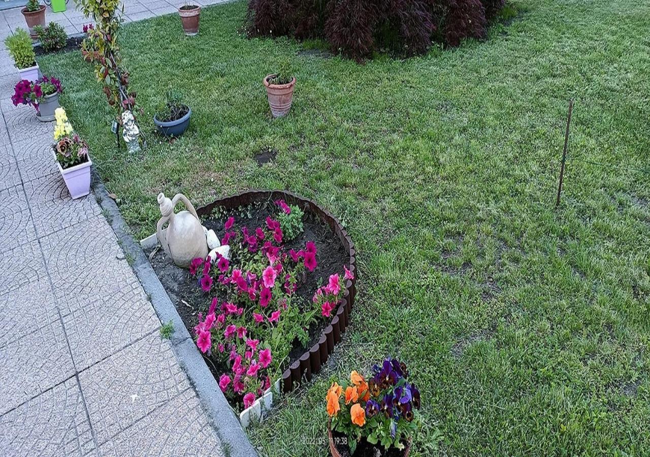 La Magnolia B&B Gassino Torinese Eksteriør billede