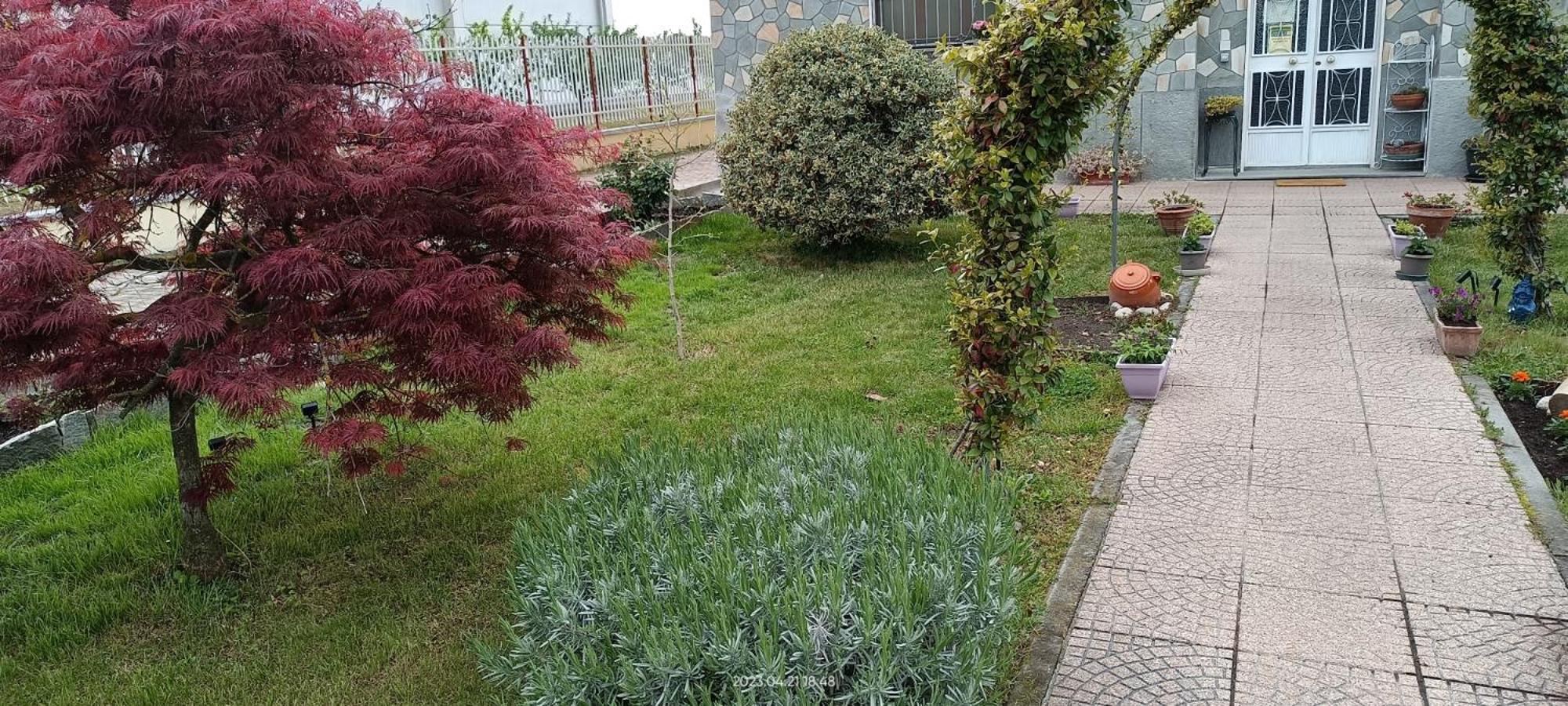 La Magnolia B&B Gassino Torinese Eksteriør billede