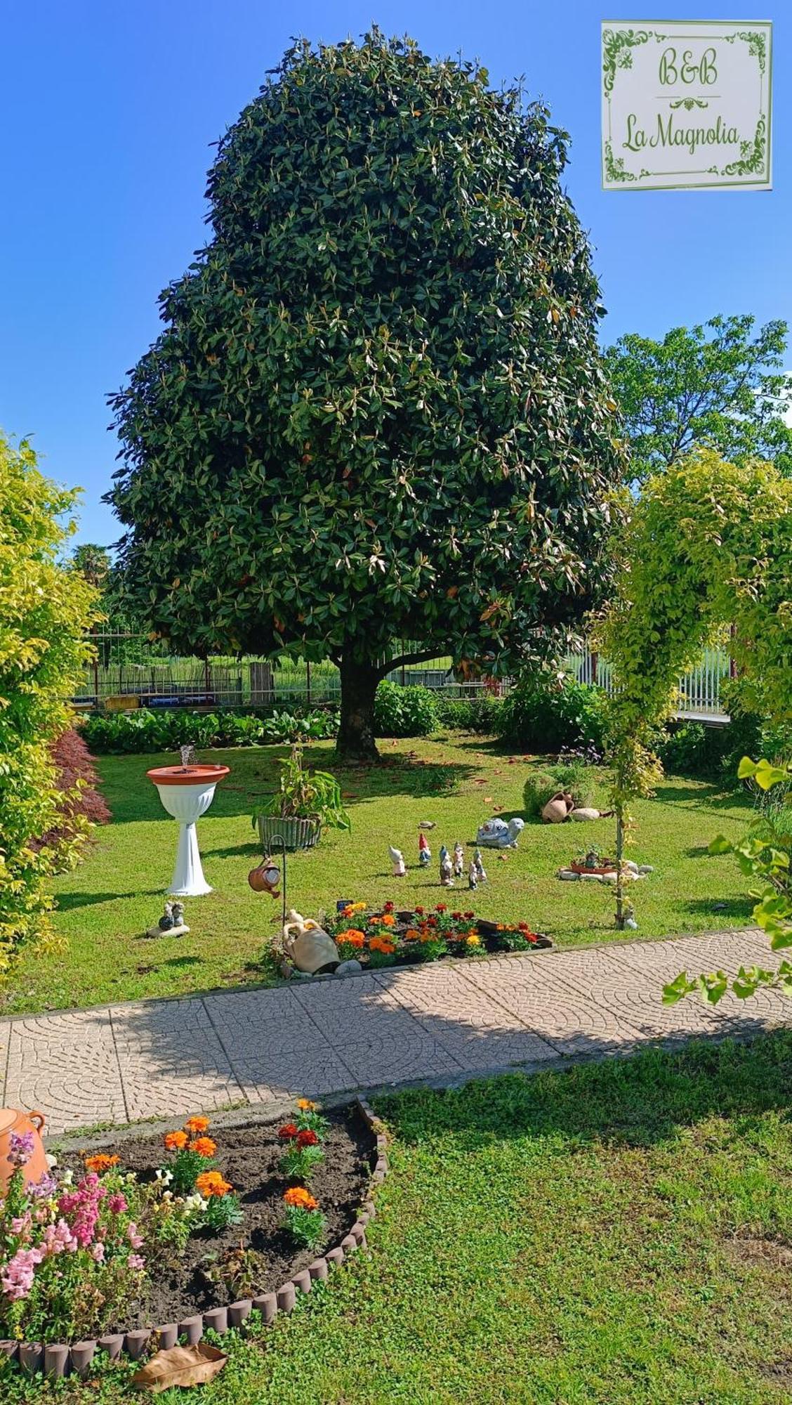 La Magnolia B&B Gassino Torinese Eksteriør billede