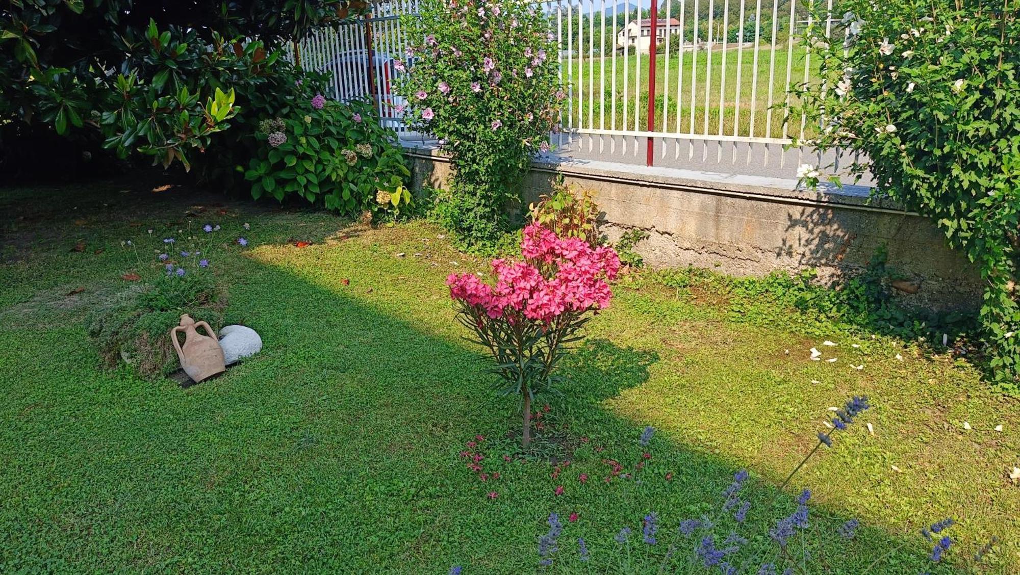La Magnolia B&B Gassino Torinese Eksteriør billede